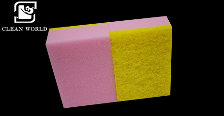 Scourer Sponge