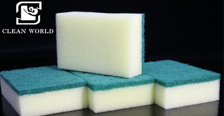 Scourer Sponge