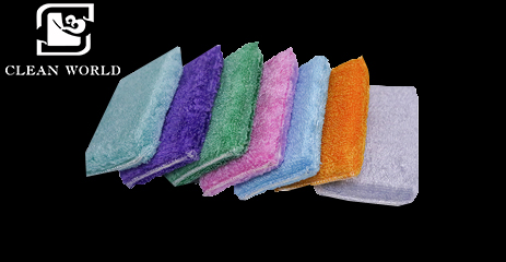 Scourer Sponge