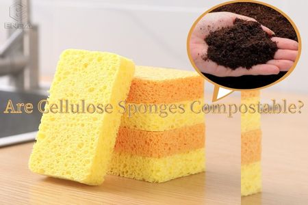 Are Cellulose Sponges Compostable?