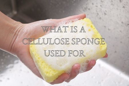 What is a cellulose sponge used for?