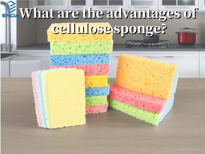 What are the advantages of cellulose sponge?
