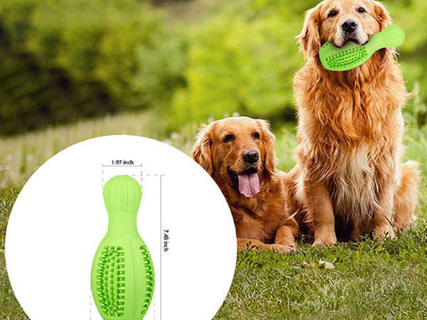 Dog toy bowling