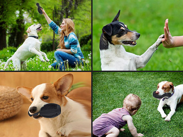 Dog toy bowling