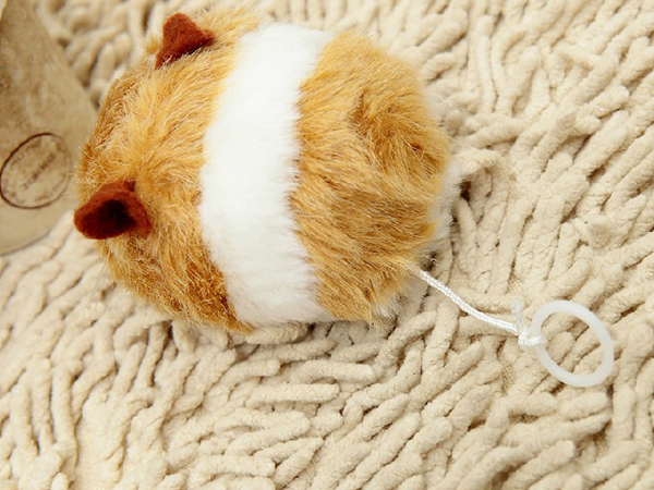 electric mouse