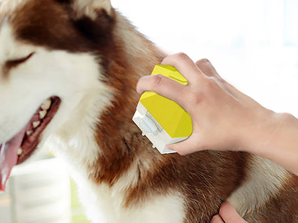 pet shower