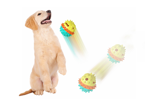 Squeak leak food ball