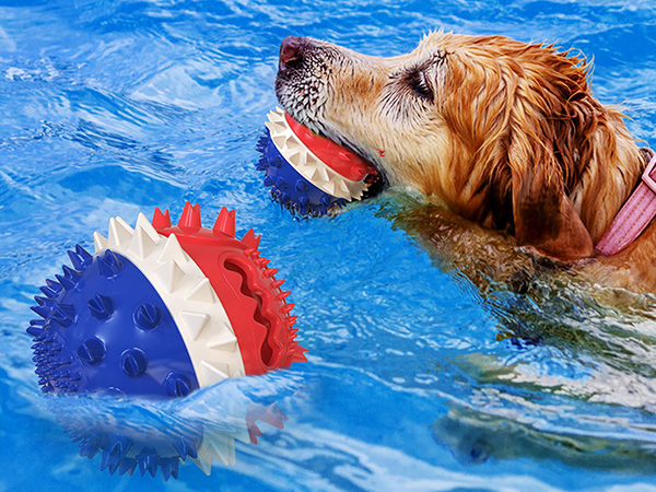 Squeak leak food ball