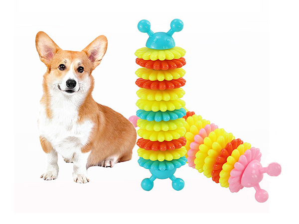 Caterpillar dog bite glue molar stick