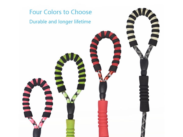 dog leash