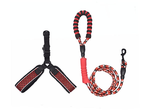 dog leash