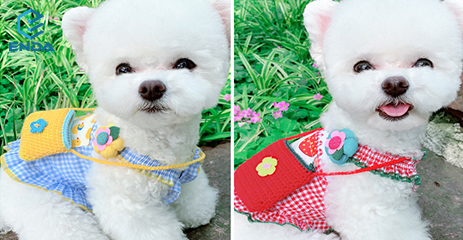 Buy Lovely Summer Pet Backpack Sundress