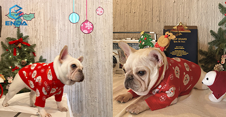 Wholesale Christmas Winter Fashion Pet Sweatshirt