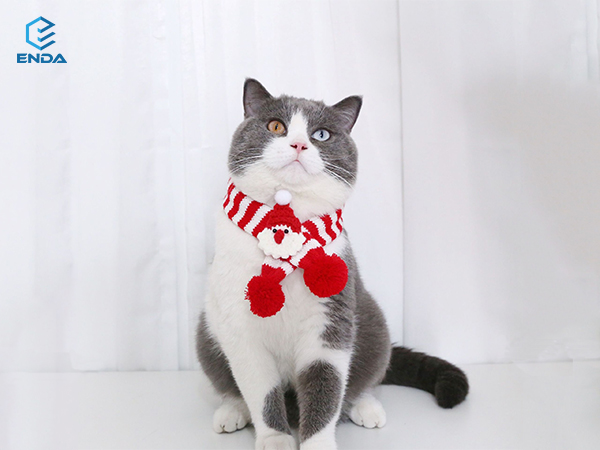 pet Christmas scarf