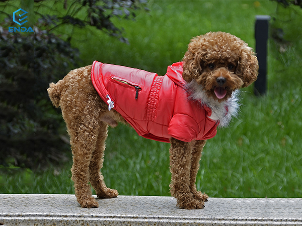 Dog coat jacket