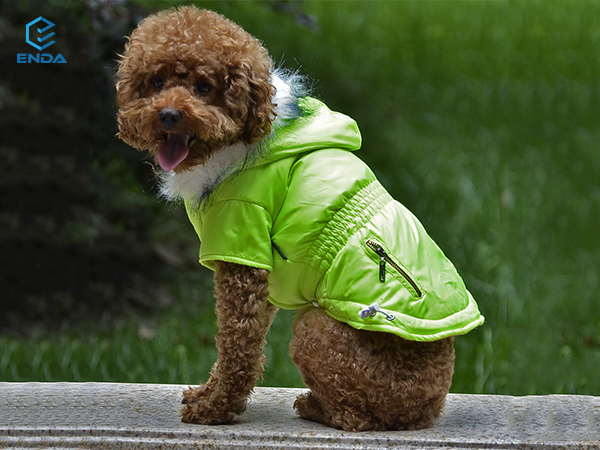 Dog coat jacket