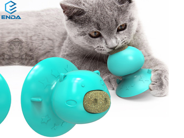 cat chewing toy