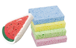 Cellulose Sponge