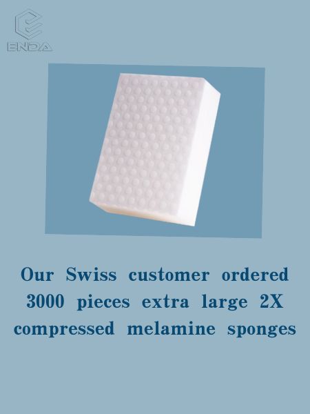 Our Swiss customer ordered 3000 pieces extra large 2X compressed melamine sponges