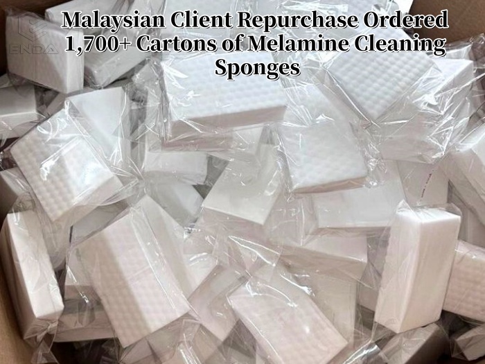 30Pcs Magic Sponge Packaging Launched by Henan Enda- Custom Solutions Available