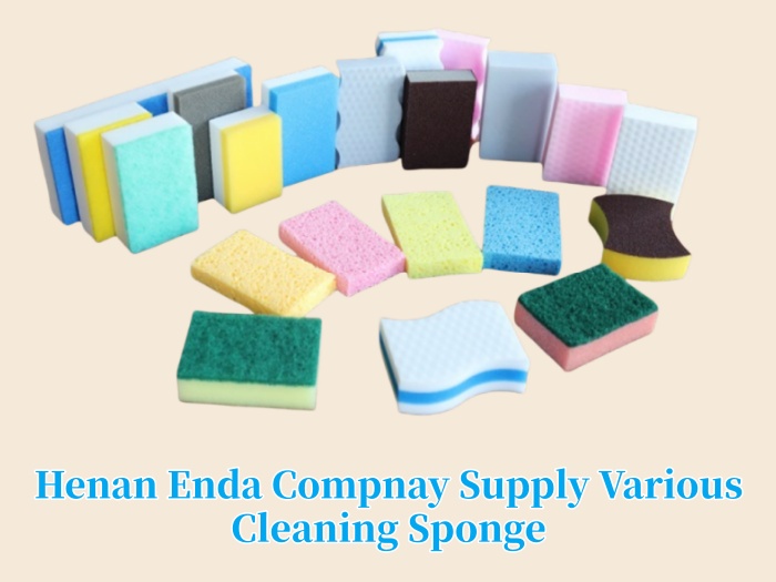 cleaning sponge types