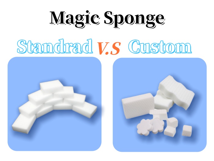 What Is the Difference Between Standard and Custom Magic Sponges?