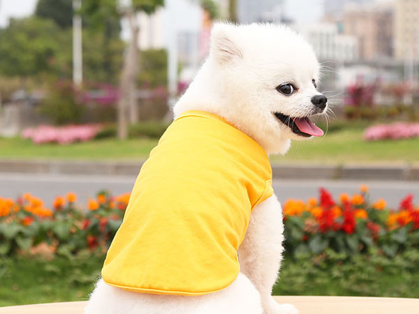 pet cotton vest