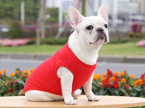 pet cotton vest