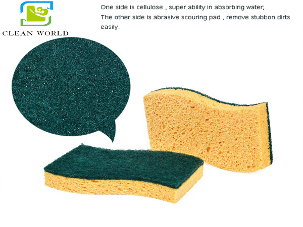 sponge scourer