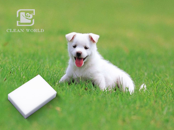 The safety of melamine foam on pets